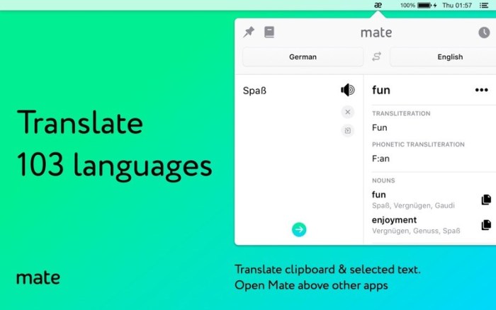 1_Mate_Translate_–_translator.jpg