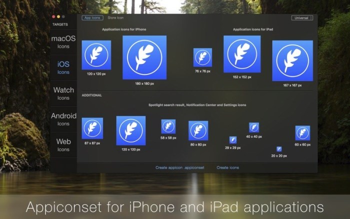 2_IconFly.jpg