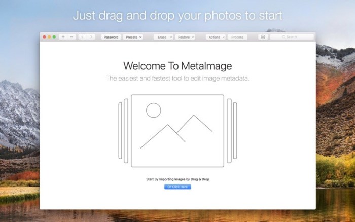 1_MetaImage.jpg
