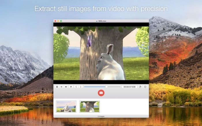 1_SnapMotion.jpg