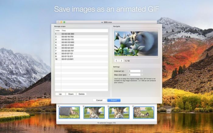 3_SnapMotion.jpg