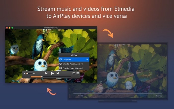 5_Elmedia_Player_GO.jpg
