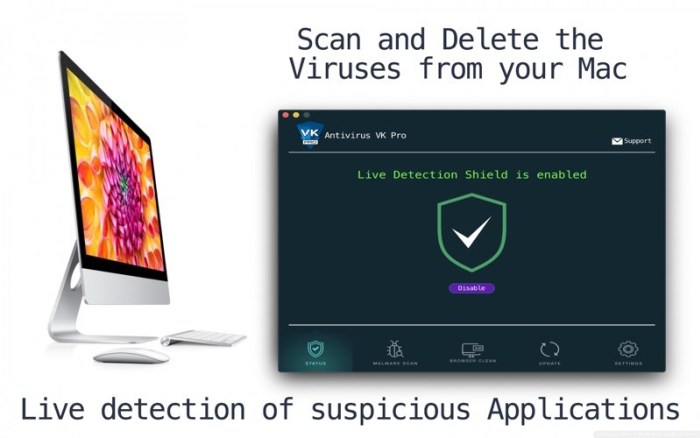 2_Antivirus_VK_Pro_Clean_Virus.jpg