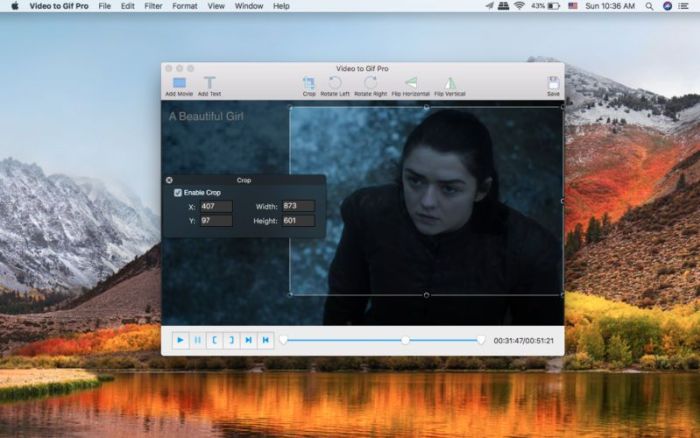 2_Video_to_GIF_Pro.jpg