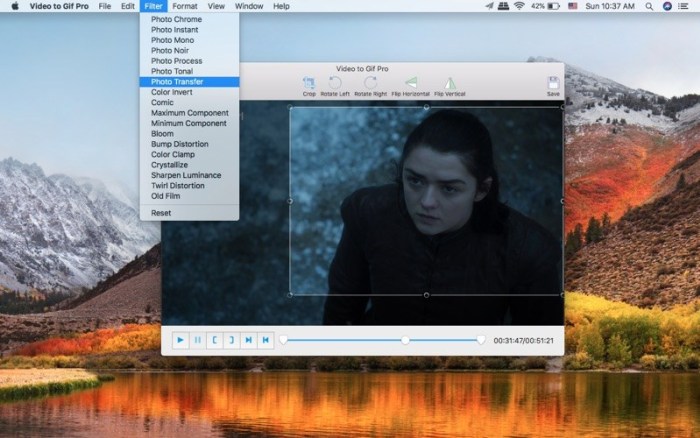 3_Video_to_GIF_Pro.jpg