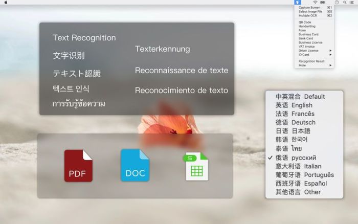 2_Text_Scanner_PDF_Document.jpg