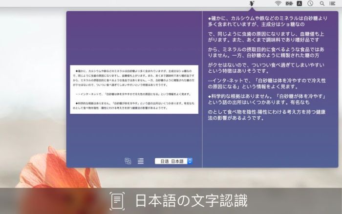 5_Text_Scanner_PDF_Document.jpg