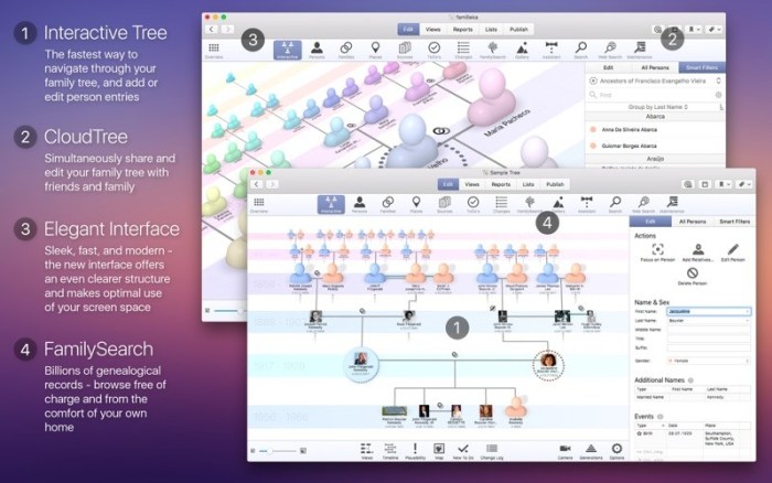 1_MacFamilyTree_8.jpg