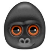 Debookee