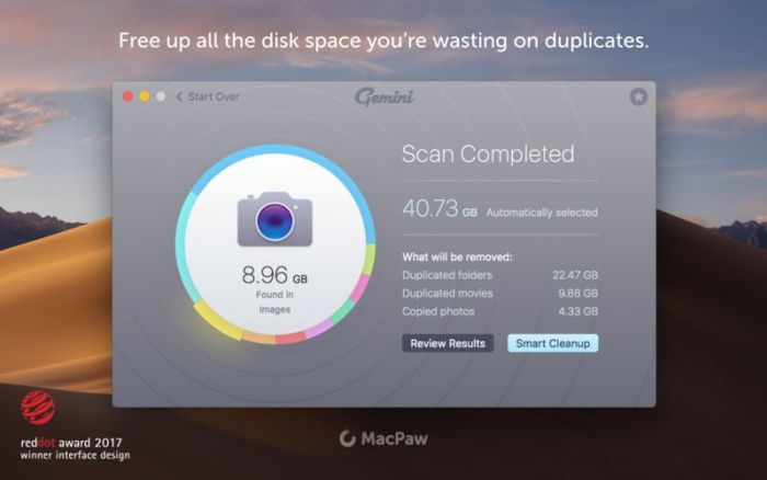 1_Gemini_2_The_Duplicate_Finder.jpg