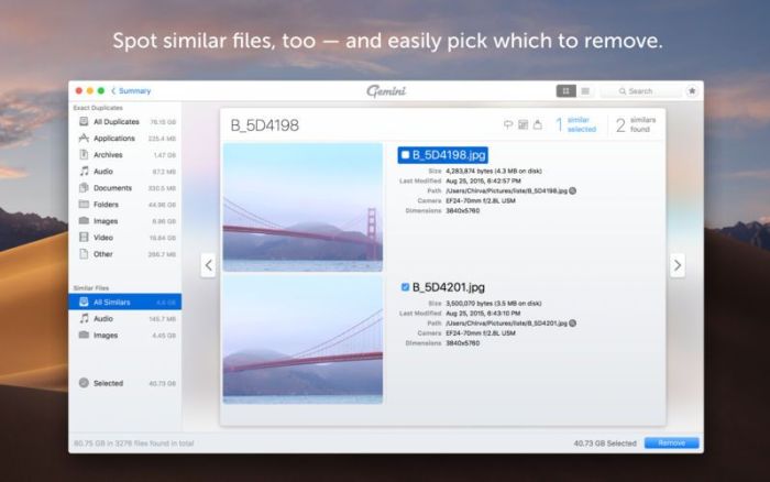 2_Gemini_2_The_Duplicate_Finder.jpg