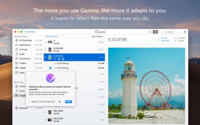 5_Gemini_2_The_Duplicate_Finder.jpg