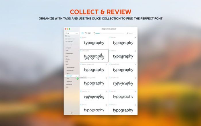 Typeface_2.app caprure 2 2_Typeface_2.jpg