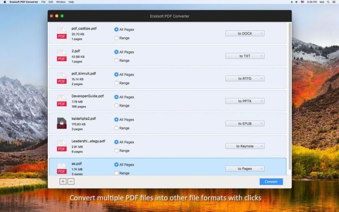 1_Enolsoft_PDF_Converter.jpg