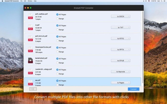 1_Enolsoft_PDF_Converter.jpg