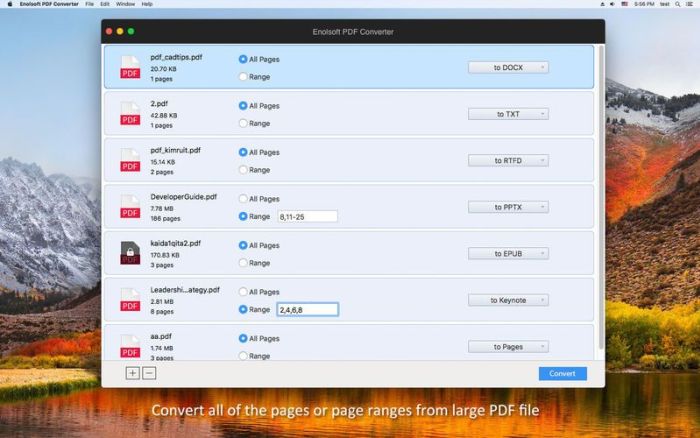 3_Enolsoft_PDF_Converter.jpg