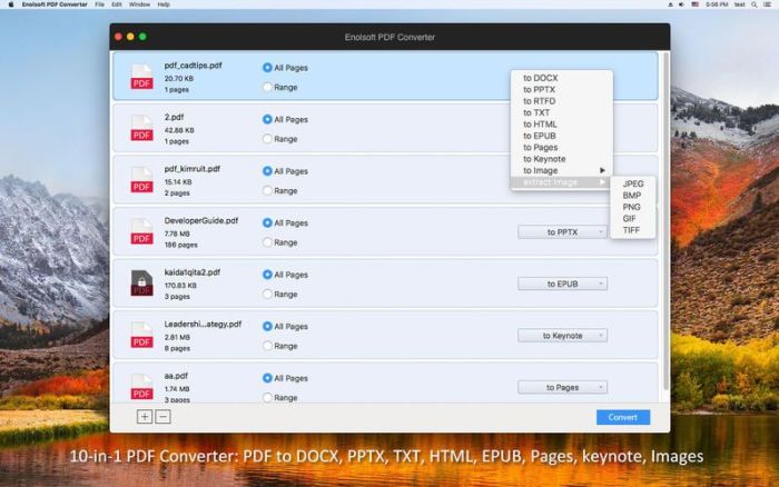 2_Enolsoft_PDF_Converter.jpg