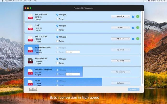 4_Enolsoft_PDF_Converter.jpg