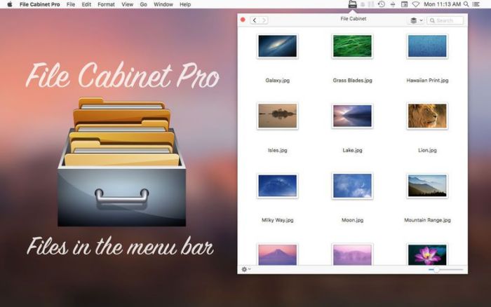 1_File_Cabinet_Pro.jpg