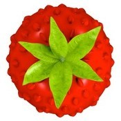 Smultron.jpg Smultron