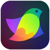 Amadine vector graphics design icon
