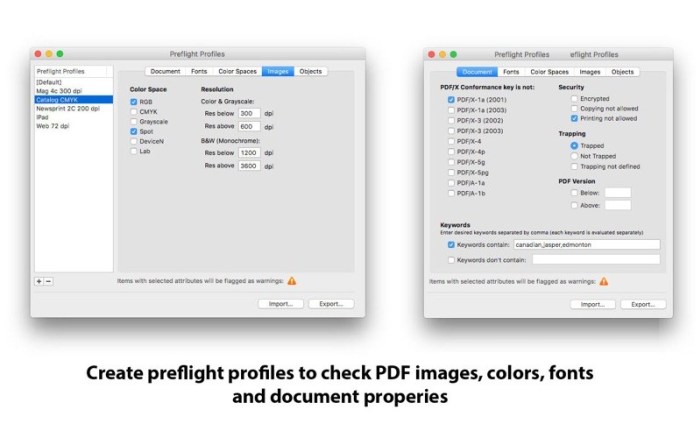 3_PDF_Checkpoint.jpg