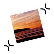 ExactScan Pro