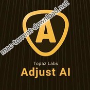 Topaz adjust ai icon