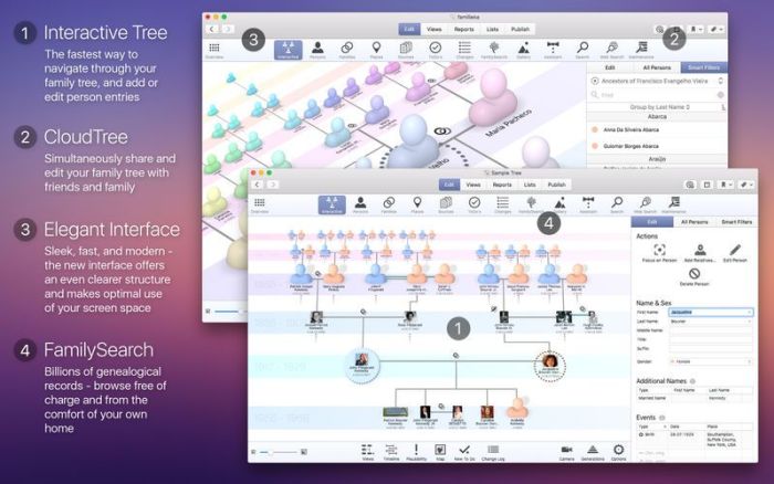 1_MacFamilyTree_8.jpg