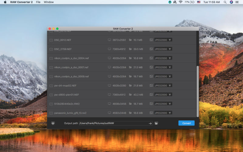 3_RAW_Converter_2.jpg