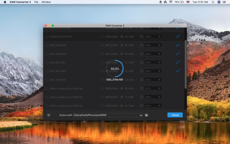 4_RAW_Converter_2.jpg