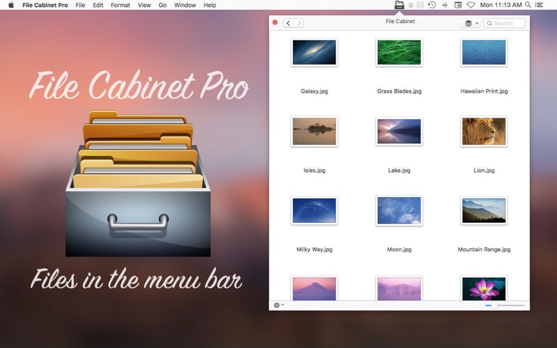 1_File_Cabinet_Pro.jpg