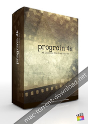 Pixel film studios prograin 4k for fcpx icon