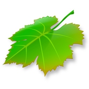 Breeze icon