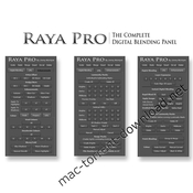Raya pro panel 3 icon