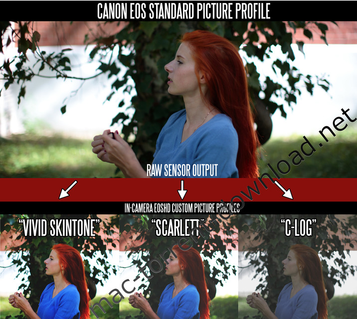 eoshd_c_log_and_film_profiles_for_canon_plus_lut_win_mac
