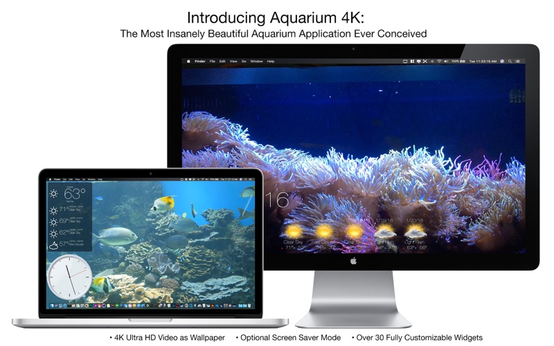 1_Aquarium_4K_Live_Wallpaper.jpg