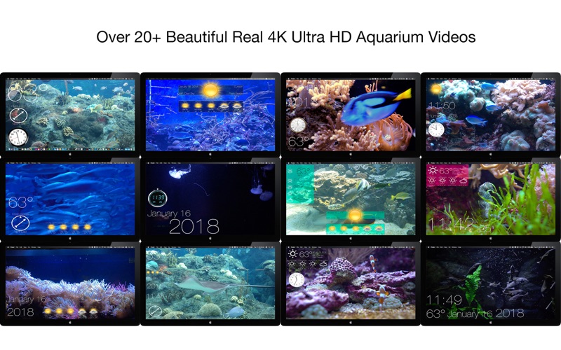 4_Aquarium_4K_Live_Wallpaper.jpg
