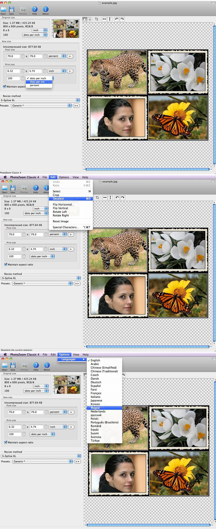 benvista_photozoom_pro_702