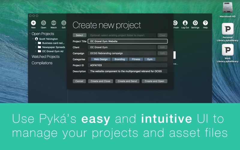 1_Pyká_Project_Manager.jpg