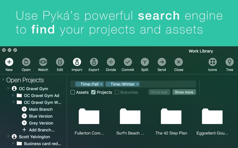 3_Pyká_Project_Manager.jpg