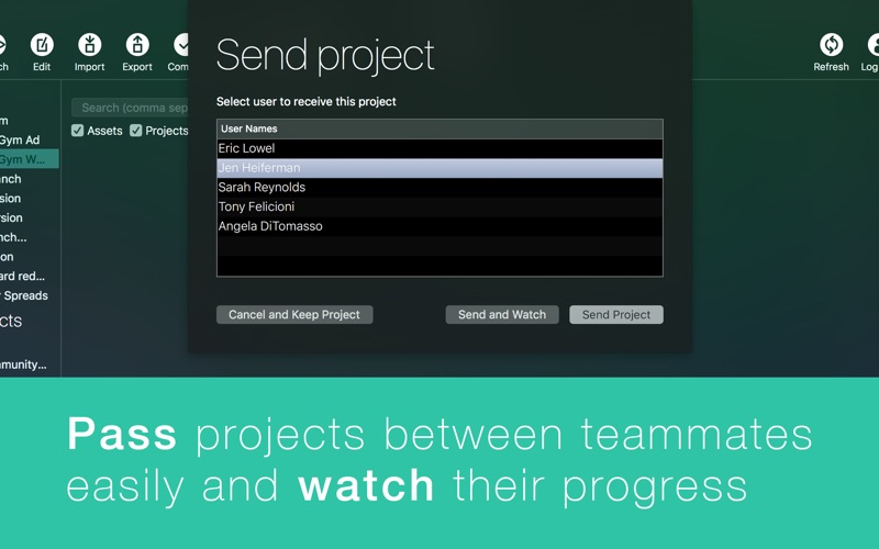 4_Pyká_Project_Manager.jpg