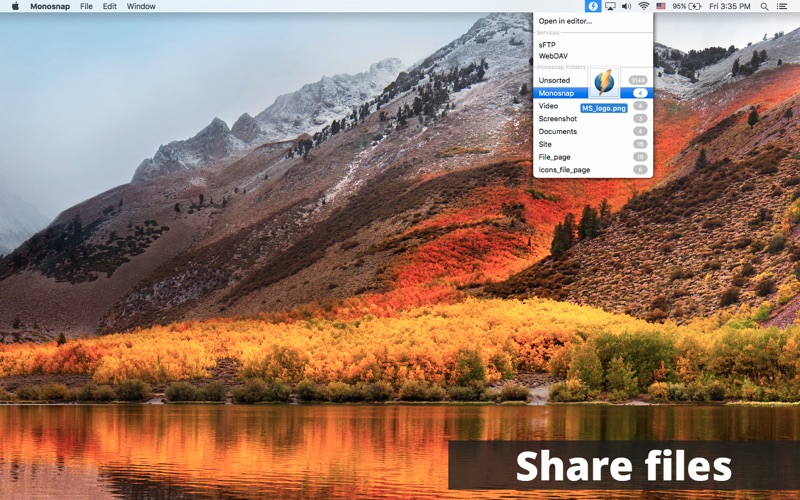 4_Monosnap_screenshot_editor.jpg