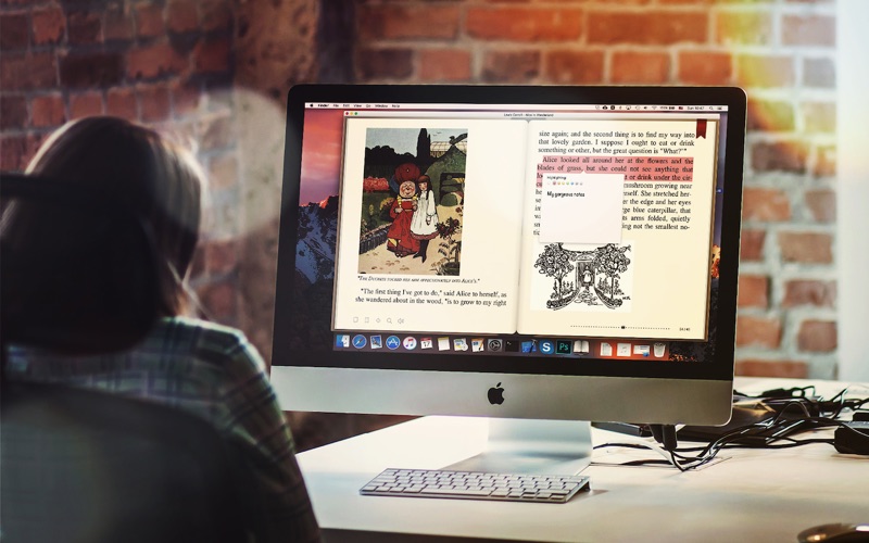 5_BookReader.jpg