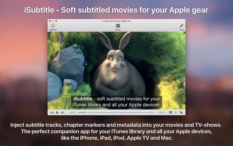 1_iSubtitle_3.jpg
