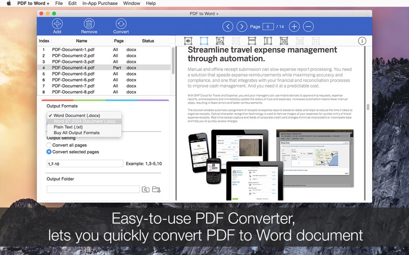 1_PDF_to_Word_.jpg