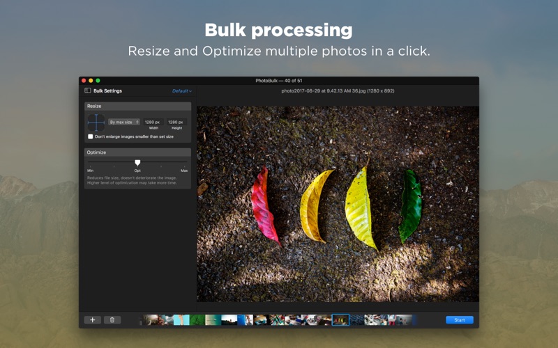 4_PhotoBulk_Bulk_Image_Editor.jpg