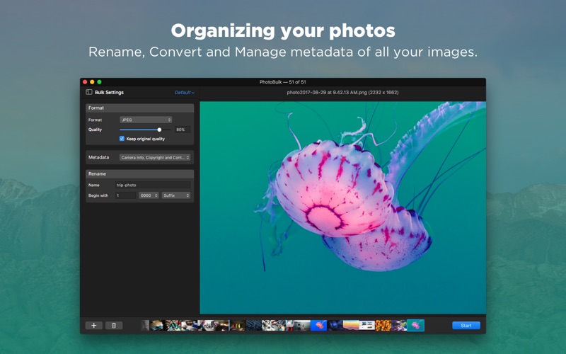 5_PhotoBulk_Bulk_Image_Editor.jpg
