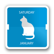 Cal cat icon
