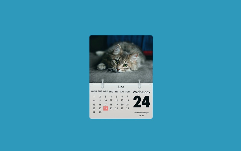 1_Cal_Cat.jpg